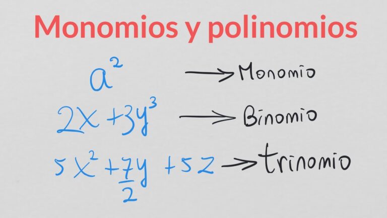 ¿Cuál es la diferencia entre un monomio y un polinomio?
